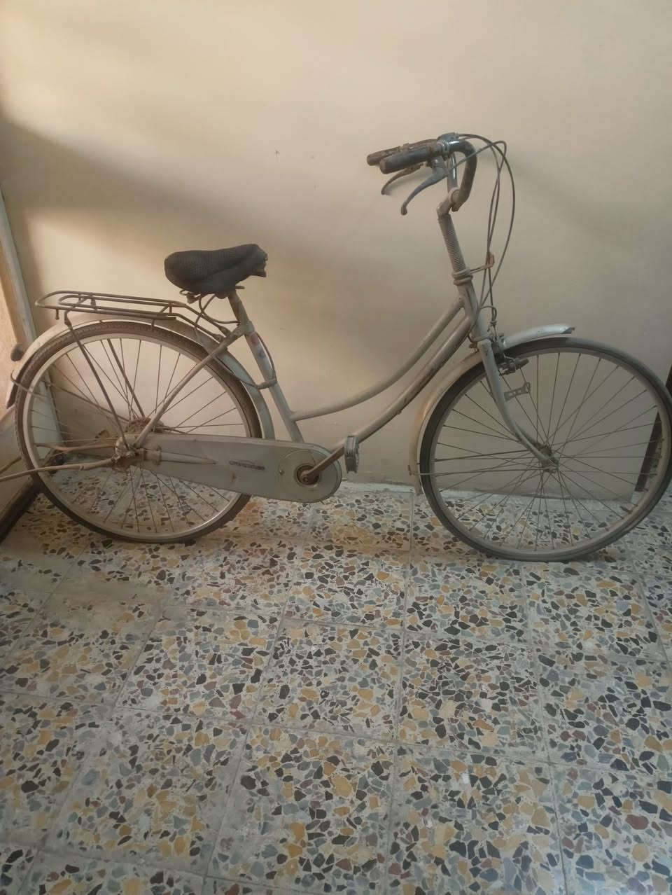 بايسكل اللبيع سعر 100


**إذا كنت صاحب هذا الإعلان وتريد حذفه لأي سبب، رجاءا أرسل رسالة إلى الدعم الفني**