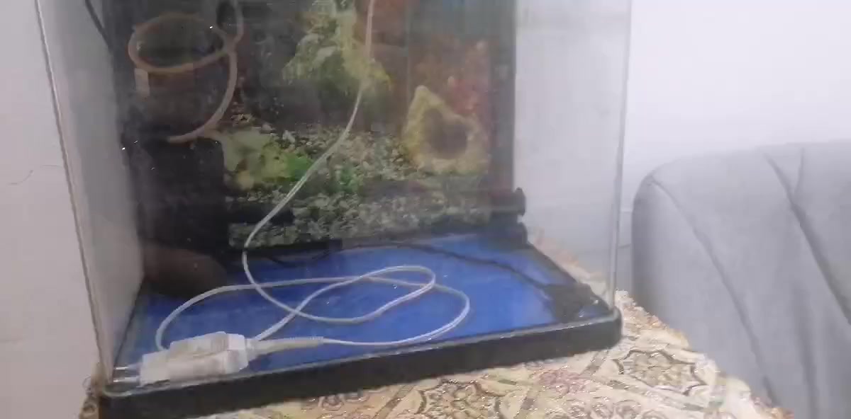 حوض اسماك مع اضائه وفلتر ماء سعر ٣٠ الف


**إذا كنت صاحب هذا الإعلان وتريد حذفه لأي سبب، رجاءا أرسل رسالة إلى الدعم الفني**