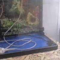 حوض اسماك • اضاءة • فلتر ماء