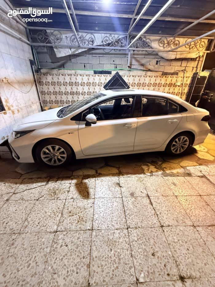 كوريلا هايبرد موديل25 شكل الخليجي ياباني تجميع الصين
للبيع سياره جديده كلش ونظيفه ماشيه 6 الاف بعدها زيرو مكفوله من كلشي  رقمها بصره وسنويه ب اسمي تنتهي سنة2030 تحويل ثاني يوم 
مكاني البصرة الجزائر وهذا رقمي
***********
راسلوني على الواتساب اي تفاصيل ثانيه 
سعرها 165$ورقه وبيها مجال بسيط
