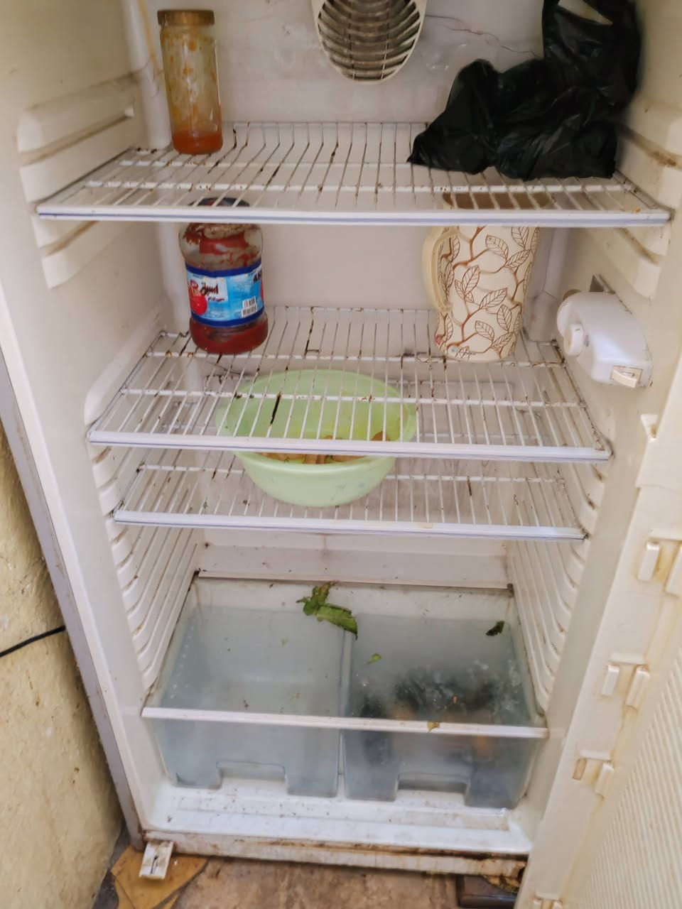 ثلاجه حجم كبير البيع


**إذا كنت صاحب هذا الإعلان وتريد حذفه لأي سبب، رجاءا أرسل رسالة إلى الدعم الفني**