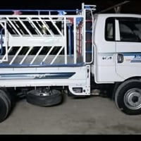 كيا فحل ١٦ • مكفولة • المسحك