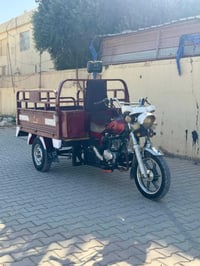 ستوت • موديل ٢٠ • بل شرط