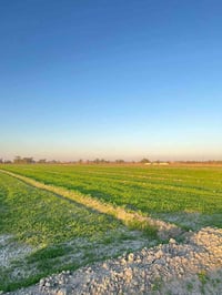 أرض زراعية • ٤ دونم • العيساوية