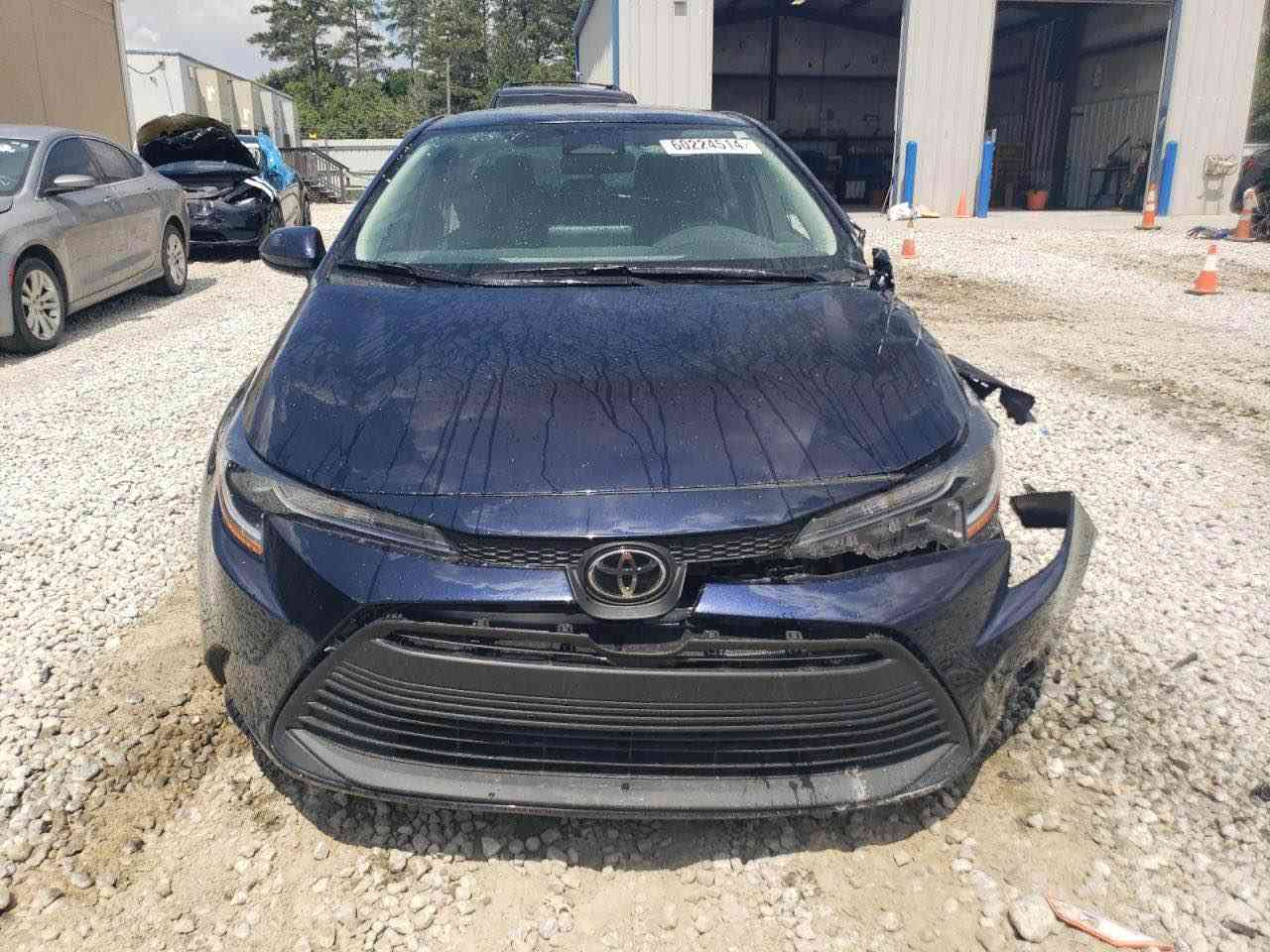 كرؤلا بؤ فرؤشتن 2023 بئ داخلى بئ يرباگ ته زره ى هه يه له كوردستان پئ كه تيه ٣٠ هه زار رؤشتيه 145 مه جال *********** أربيل, العراق
