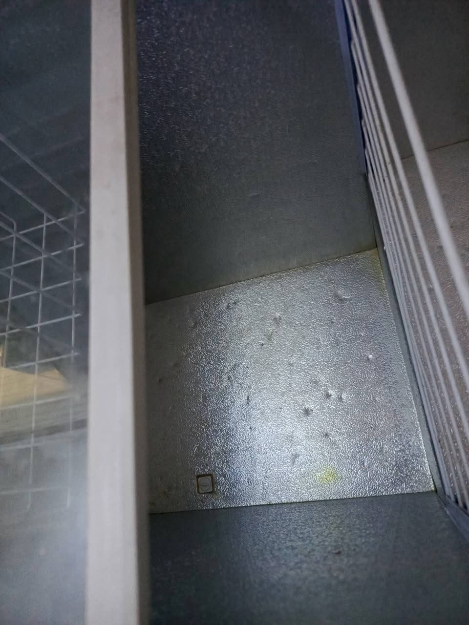 السلام عليكم
مجمده للبيع ام الدولفين بيضه حجم وسط 

السعر 175 وبيها مجال 

نضيف اخو الجديد 

للتواصل واتساب فقط ***********
