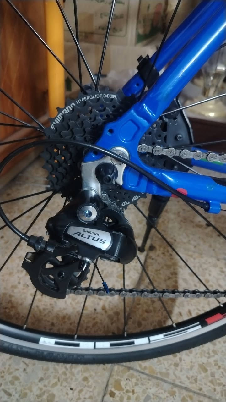 بايسكل ماركت جيوس ماستر ال إيطالي المنيوم بدالات ٣ أمامي ٨ خلفي سستم شيمانو التوس جميع أغراض بلادي فريم ٥٠ عالي سعر ٣٢٥ مكان كركوك


**إذا كنت صاحب هذا الإعلان وتريد حذفه لأي سبب، رجاءا أرسل رسالة إلى الدعم الفني**