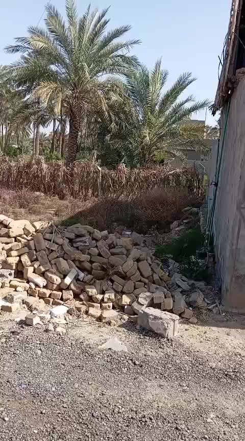 قطعه ع حولي ٢٢٦ م.  سند ٢٥ تحويل مباشر مقابيل حي الزهراء كلش قريبه ع شارع.      السعر ٣١ وبيها مجال

***********
