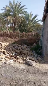 قطعه ع حولي ٢٢٦ م.  سند ٢٥ تحويل مباشر مقابيل حي الزهراء كلش قريبه ع ش...