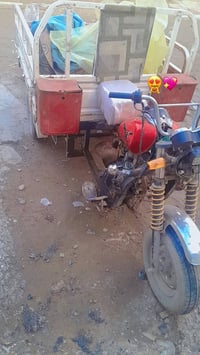 ستوته • ديوان 2015 • مكفوله قانونيا