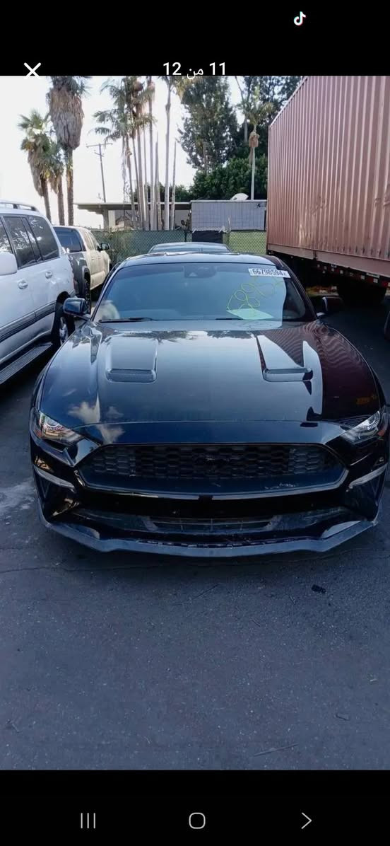 السلام عليكم للبيع موستنك ٢٠٢٣ ايكو  بلاك ادشن كلها اسود حادث باب الصدر ونص جاملغ ومبدل باب الصدر نفس اللون وهنا انصبغ بيها باب السايق اثر شخط سياره جاهزه من كلشي رقم بغداد باسمي السعر ١٦٨ وبيها مجال مكاني منصور *********** بغداد, العراق
