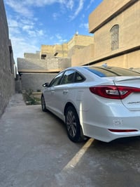 سوناتا • ٢٠١٧ • فلوجه