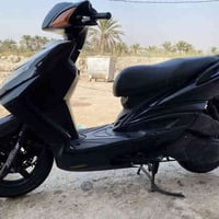 سكنس • فحل رياضي • البصرة الدير