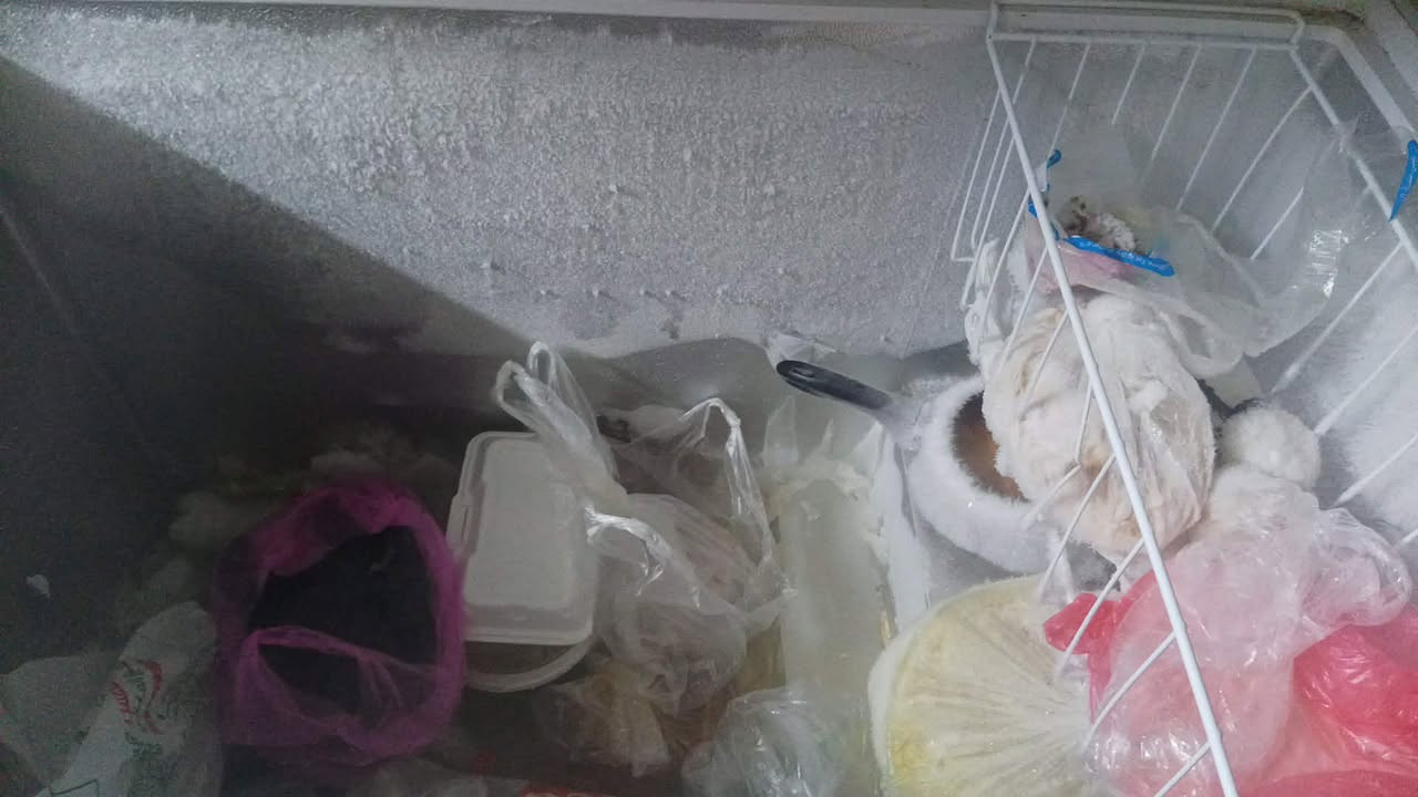مجمدها ماخذته قبل سته اشهر جديده ثلج ع الفحص أريدها ٣٥٠ وبيها مجال غساله اورتماتيك شغاله كل خلل مابيه ولا ادخلات تصليح ع الفحص ١٠ كيلوات أريدها ١٥٠ وبيه مجال مكانه السهله  أسعار يمكن مكان كلشي مذكور مجال بيهن فا بس الشراي يرسالني رجائن


**إذا كنت صاحب هذا الإعلان وتريد حذفه لأي سبب، رجاءا أرسل رسالة إلى الدعم الفني**