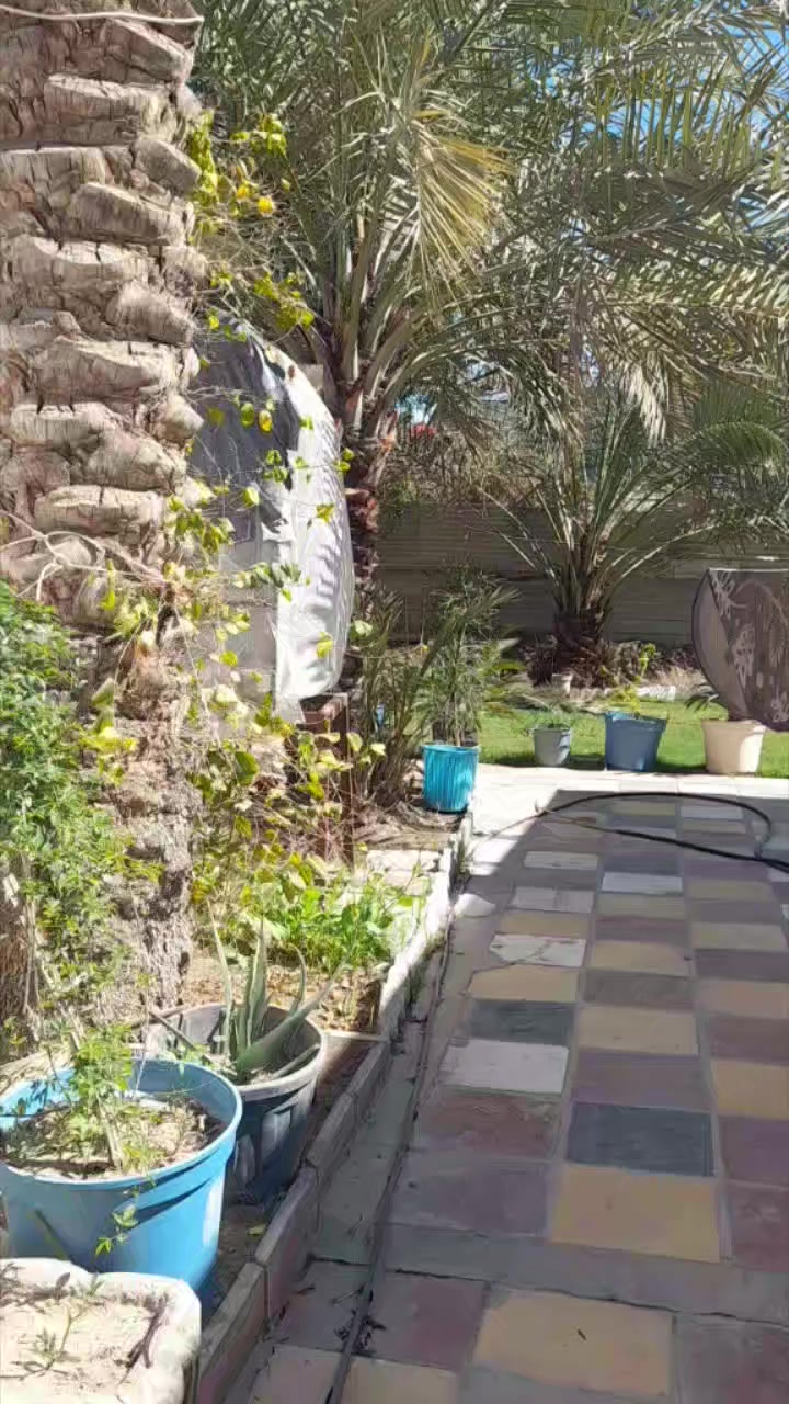 اللهم صل على محمد وآل محمد
دار للبيع المساحه ٤٠٠متر  طابو زراعي صرف سند٢٥
الموقع حله طهمازيه شارع عمود ١٠١ يبعد عن الشارع العام تقريبا ١٥٠متر كافة الخدمات ماء كهرباء مجاري وتبليط 
***********
***********
ملاحظة / يوجد عدد من البيوت بانواع المساحات وعدد من القطع بانواع المساحات وقطع تجاريه وقطع قريبه جدا من مرقد العلوية شريفة ع واسعار مناسبه ويوجد قطع مساحات اكبر تريد الف متر او تريد دوانم اوبيوت وقطع طابو صرف
إشارة الأصدقاء
