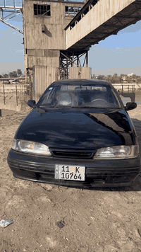 برنس دايو • ١٩٩٤ • اسود جديد