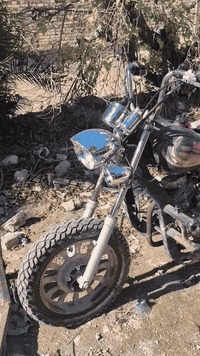 الرميثه • بدي كامل • النمر