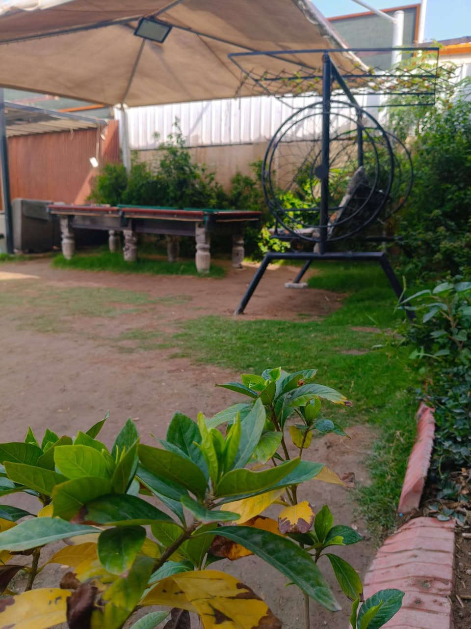 سلام عليكم متوفره مزرعه الايجار الدوره البوعيثه سعر مناسب وموثقه بتطبيق اجرلي والاستفسار والحجوزات هذا الرقم ***********
