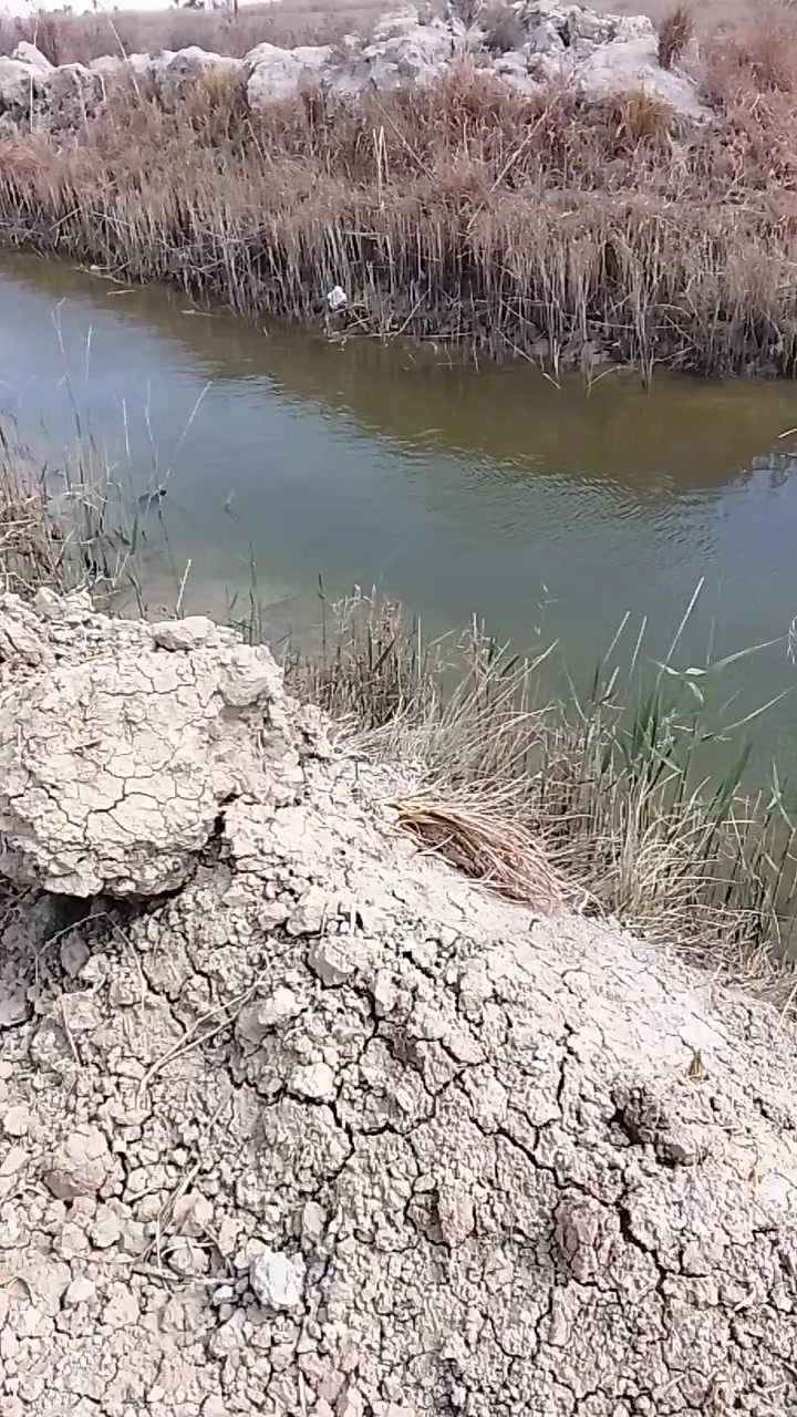 سلام عليكم  اخوان قطعت طابو اسود صرف مشترك ارض اربع دوانم اله ربع نهر رايسي بضهرها شارع كهربه بوري اساله ابو سدته بشارعها بس تعرفون ماكو ماي مكانها الهارثه المسحب المسراح تفاصيل تصال ***********
