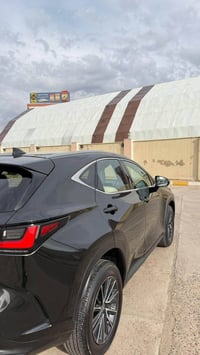 لكزس NX350 • ٢٠٢٢ • دفع رباعي