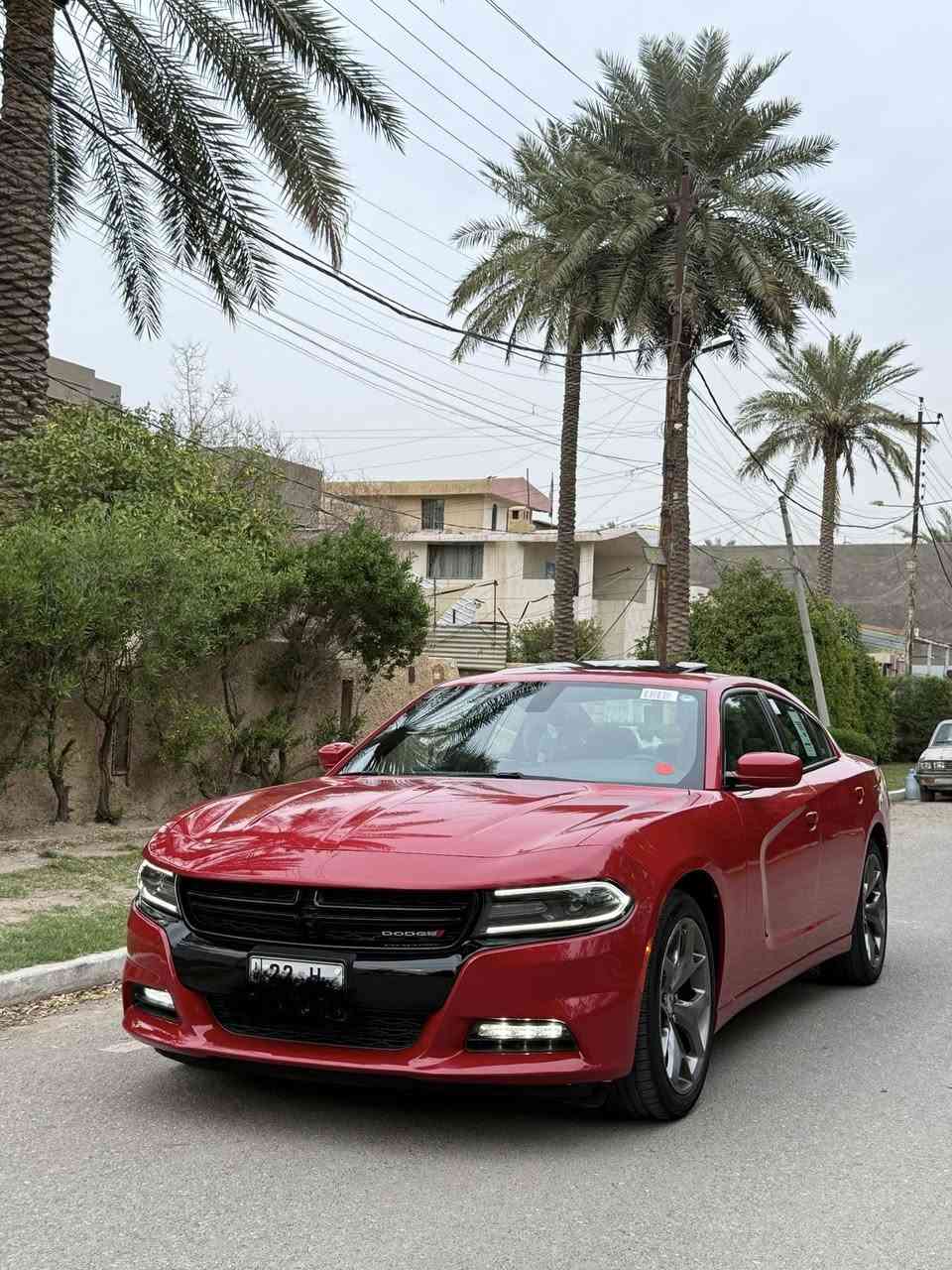 جارجر  (2017) (رالي)
السيارة كندي كلين 

السيارة  جديدة ماكو هيج نضافه 

 لون مميز مكفولة  من الضربه والصبغ   و البارد 

رقم اربيل الدولي بسمي هزه جديده تحويل ثاني يوم 

   ماشية (76) الف كم 

مواصفات الرالي الفول معروفه

لايت زنون اصل 

فتحة 

سستم صوت بيتس 

مري تعتيم 

ترحيب بل مري 

رادار جانبي 

كشنات حضن 

كشنات تدفئة 

شاشة كبيرة 

دمام بل صندوك 

كامره خلفيه دواره 

عداد ٢٦٠ 

حساس خلفي 

تو ويل 

منظومة زينون بلاديه 

بيهة عدة انضمة 

شاشة اعطال 

كراسي  كهرباء 

ومعروفة مواصفات الفول الباقية 

السعر  (248) وبيهة مجال 

رقمي ***********

مكاني بغداد بيع او مراوس
