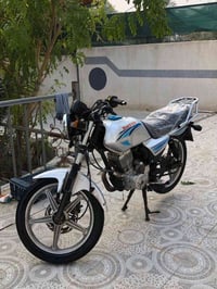 دايون 2019 • اوراق باسمي • كربلاء الحسينيه