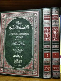 ديوان الضعفاء • شمس الدين الذهبي • مجلدان