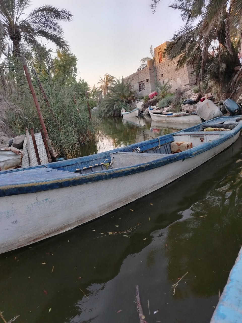 بلم ١٦ ومكينه 40 يامها دولفين للبيع بس جره كلش نضيفه السعر ٣وميه وبيه مجال المكان ابو الخصيب رقم التلفون ***********
