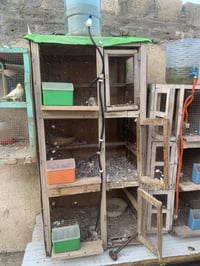 اعادة النشر بسبب ظروف المشتري خانة ام الثلاثة عدد ٢ مع ملحقاتها معلف خ...