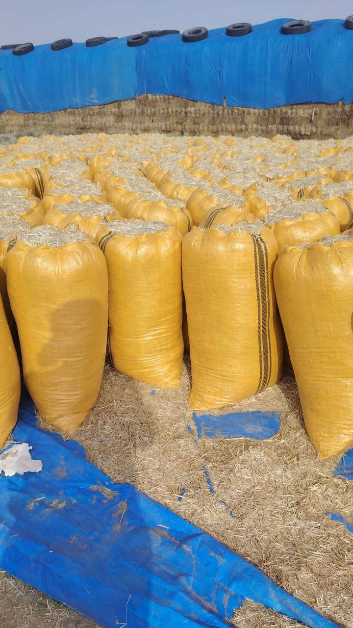 يوجد لدينا تبن هاي قياسه  #عرض60 #طول 90 #الزوج ب 4 واصل للاستفسار
***********
***********
