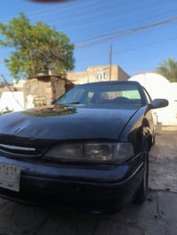 برنس • ١٩٩٤ • مسيب