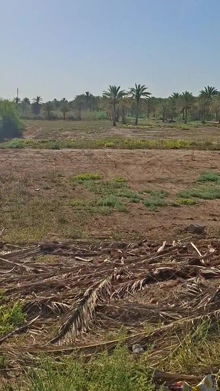 دونم مباشر عالشارع واجهيه ١٦ متر ونزال ١٤٠ من وسط الدونم يصير عرضه ٢٣ متر منطقه السياحي جرف البو عامر
شارع تبليط عالجدول مباشرة 
للاستفسار  ***********دونم مباشر عالشارع واجهيه ١٦ متر ونزال ١٤٠ من وسط الدونم يصير عرضه ٢٣ متر منطقه السياحي جرف البو عامر
شارع تبليط عالجدول مباشرة 
للاستفسار  ***********

