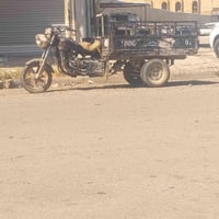 ستوته • ١٤ • كركوك