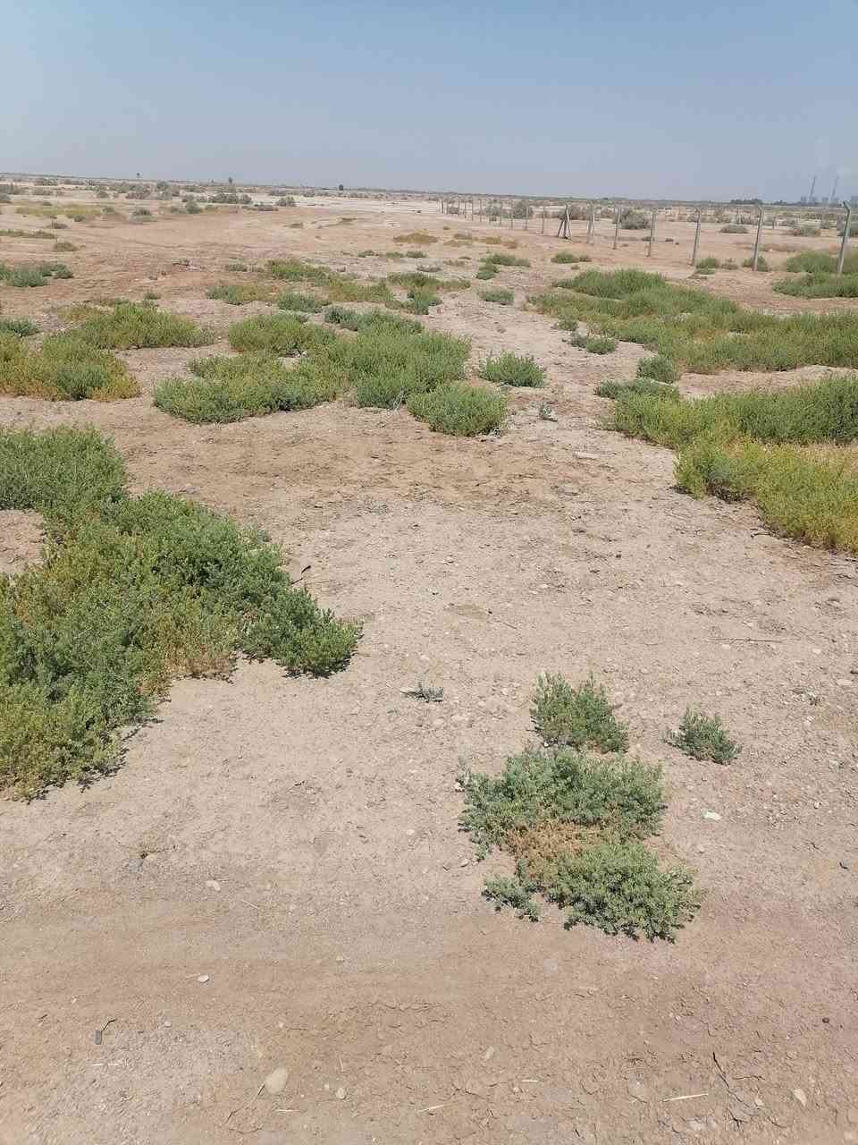 ٤ دووونم وجه على الشارع المؤدي إلى المأمون او قريه ٦ واجهه ٣٠ م قانون ٢٥ تحويل بالأسم( تبعد ٢ كيلو) عن التقاطع (مجاور معمل الكاسات عيون واسط) للإستفسار أكثر مراجعه مكتب القريني للعقار الجمعيه بالقرب من السايدين *********** او ***********
