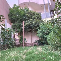 موصل حي البلديات • ٣٠٠م • حديقة كبيرة