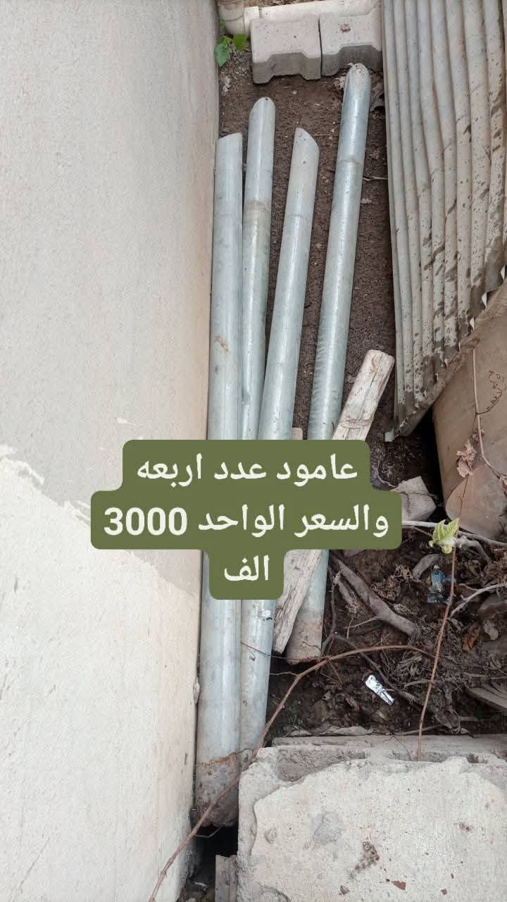 السلام عليكم رمضان كريم عليكم للبيع عندي جينكو عدد اثنين طوله ثلاث امتار و40 العرض 108 ولا صغير طوله 140 والعرضه 108 وسعرهن 50 الف عندي همين عدد اربع عامود سعرها 15 ألف كركوك حي عسكري


**إذا كنت صاحب هذا الإعلان وتريد حذفه لأي سبب، رجاءا أرسل رسالة إلى الدعم الفني**