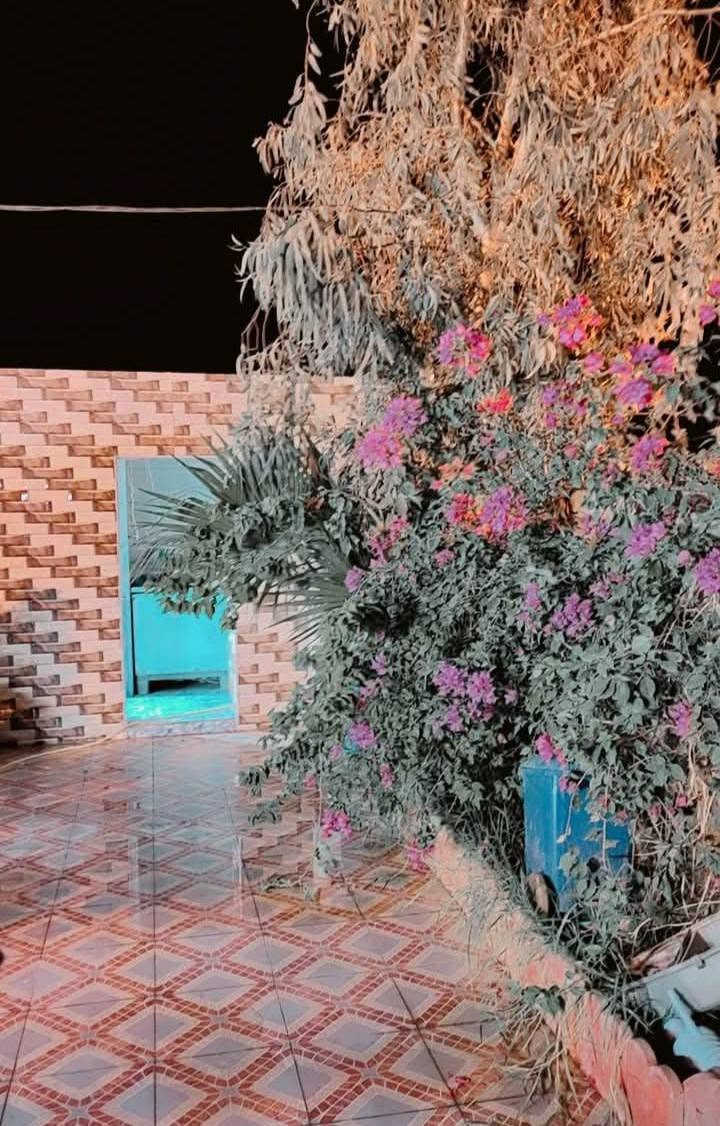 بيت مساحة ٢٢٥ خلف العمارات الزيتوان قرب الوكفه مرقم ومشمول بالتطويب 
النموذجية قريب على مجمع عزيز شريف يبعد عن التبليط
٧٠ متر ويبعد عن عرصات الطابوا ۳۰۰ متر ماء وكهرباء
ومولده ومجاري يتكون من غرفتين وصاله ومطبخ ومجمع
صحيات وحديقه وكراج متكاملة من كلشي
للتواصل ***********
