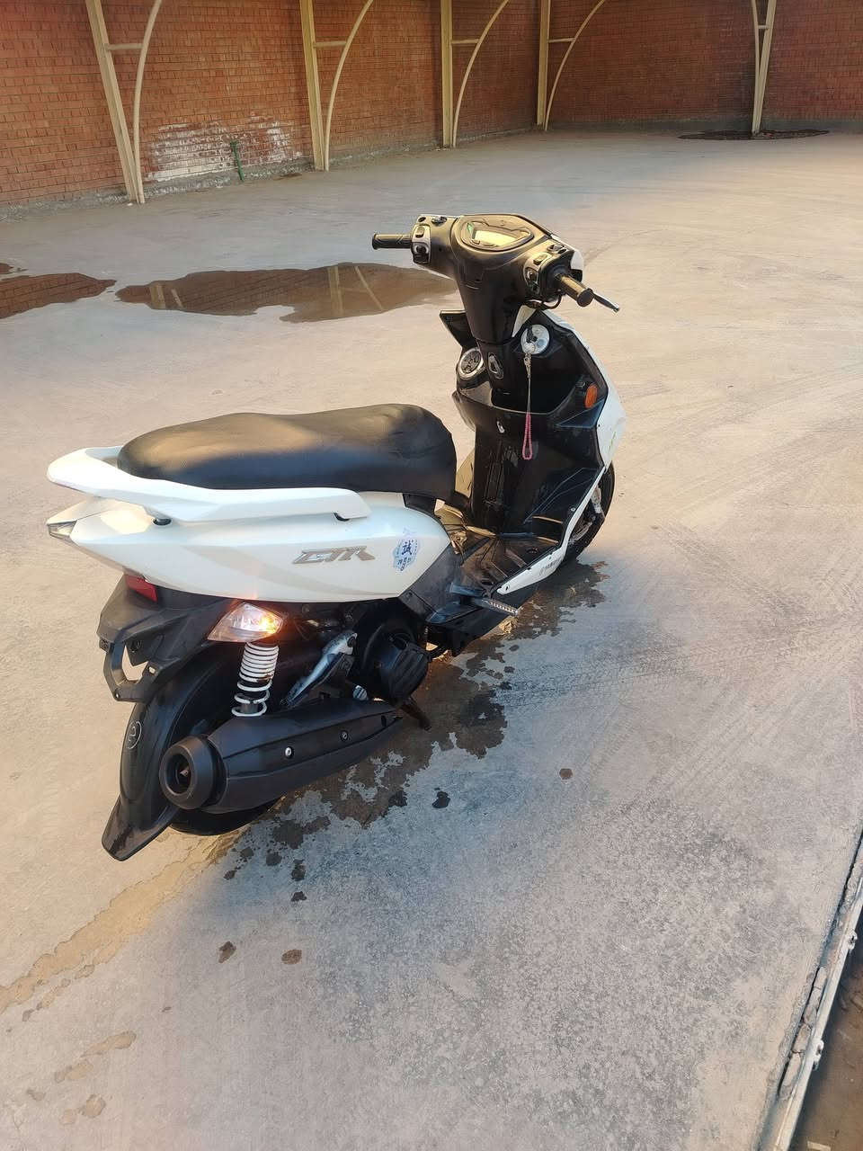 دراجه جيتي ار كلش نضيفه سعر ٦٠٠ كلشي مكفول ماعده المكينه بغداد بلديات


**إذا كنت صاحب هذا الإعلان وتريد حذفه لأي سبب، رجاءا أرسل رسالة إلى الدعم الفني**