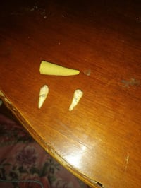 زوج سن الذيب • عطرهن • تواصل خاص