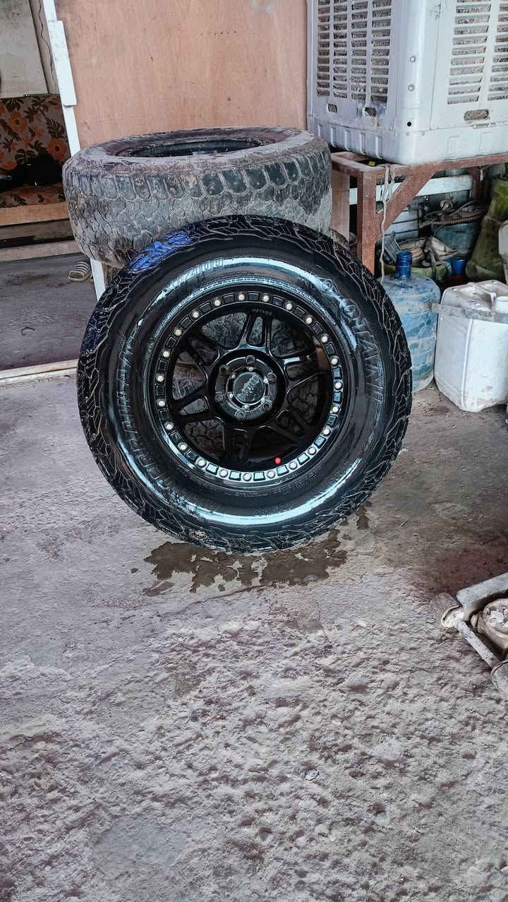 السلام عليكم تخم قياس 17 نضافه الويل 100\100 يرهم سيرا سلفادور  مكاني الدوانيه قيم باليرضي الله وخذهن ***********
