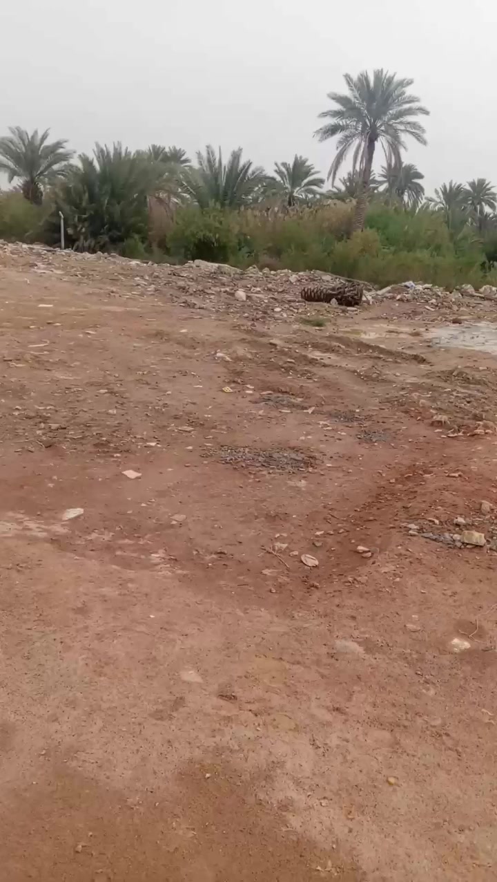 قطعه ارض زراعيه للبيع المساحه 400متر الوجه 20والنزال 20قرب الفلل منطقة متكامله خدمات يوجد في بناء المنطقة قرب على الشارع العام الاستفسار انتصل ***********
