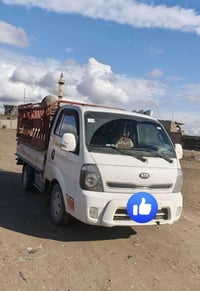 كيا ٢٠١٩ • نينوى ألماني