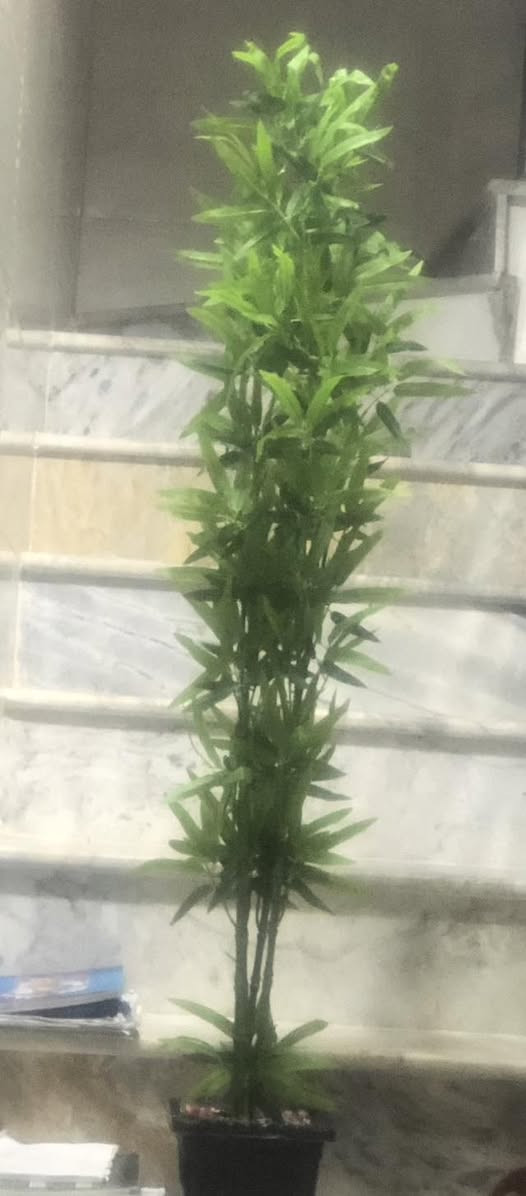 للبيع بغداد الشعب


**إذا كنت صاحب هذا الإعلان وتريد حذفه لأي سبب، رجاءا أرسل رسالة إلى الدعم الفني**