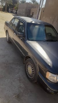 أرنب طويل • مكينه ٢.٥ • كرمه بني سعيد