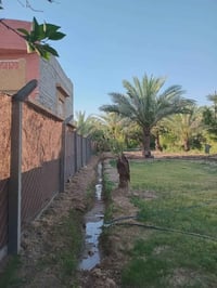 750 متر طابو زراعي سند 25 مفوضه كامل خدمات على التبليط مباشر. كهرباء م...
