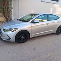 النترا امريكي • ٢٠١٧ • رقم بابل