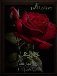 البيجية • ١٠٨م٢ • طابو