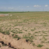 دونمين • واجهة ٩٨م • سند زراعي