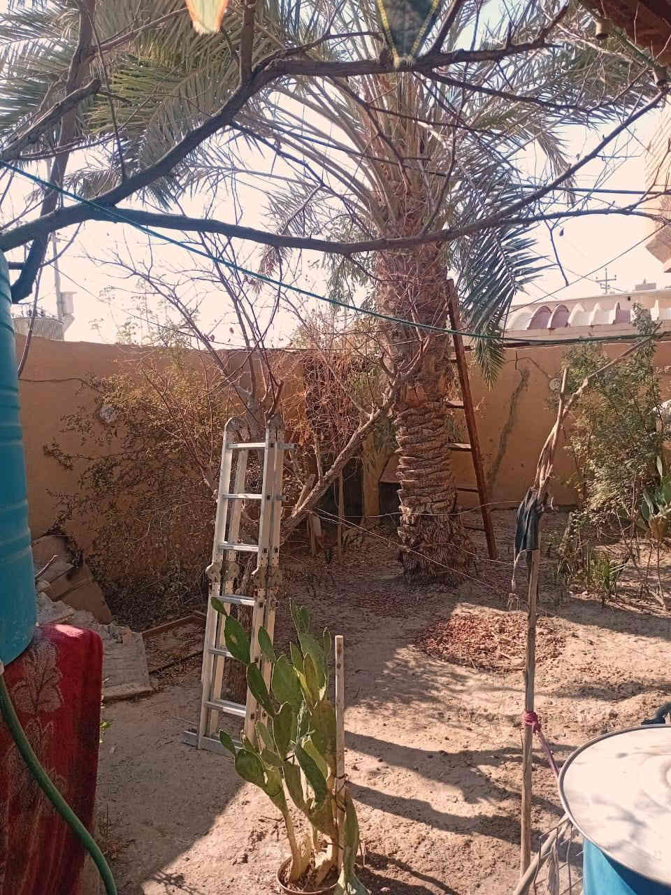 بيت طابو زراعي  مساحته 400 يتكون من 3 غرف و موزع غرف و هول و دوانيه و صيحات عدد 3 و طارمه و حديقه و مناور و ترك وره البيت 
البيت كله طابوق و جميع الخدمات موجوده محلات و مدارس العنوان بصره شط العرب الفيروزيه عالشارع 
*********** واتساب
