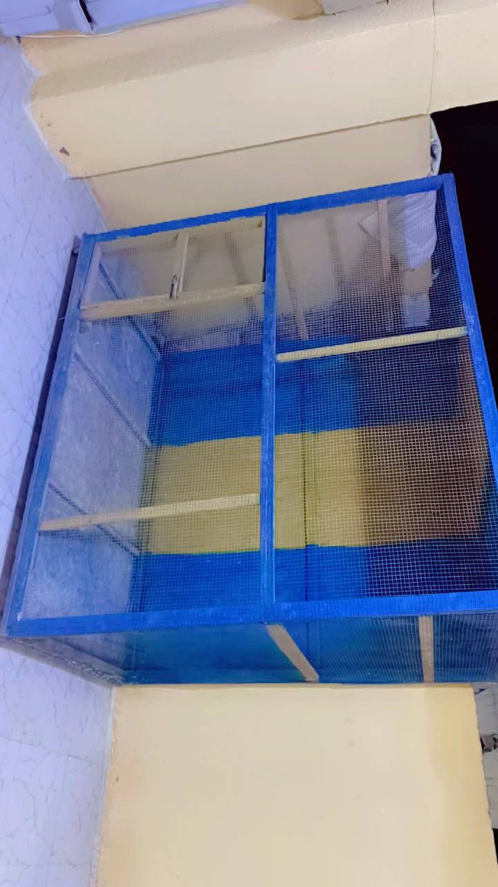 سلام عليكم متاح قفص للبيع موقعه الخالص خويلص تفاصيل راسلني على الخاص او على هاذ الرقم *********** واتساب متوفر هم
